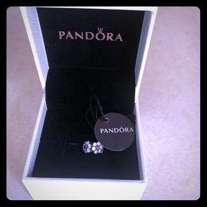 Pandora charm